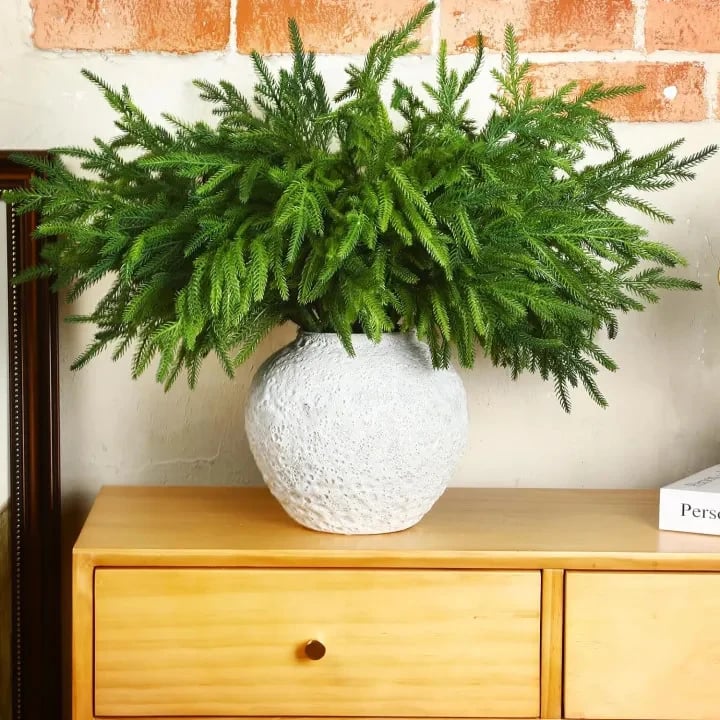 🔥Last Day 49% OFF🔥The Best Holiday Greenery - Realistic Norfolk Pine Stems